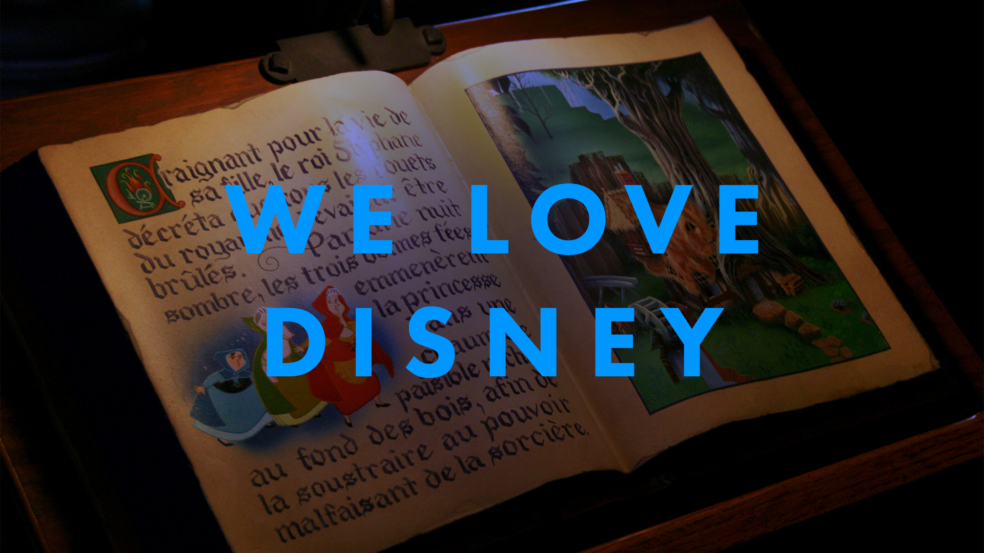 WE LOVE DISNEY